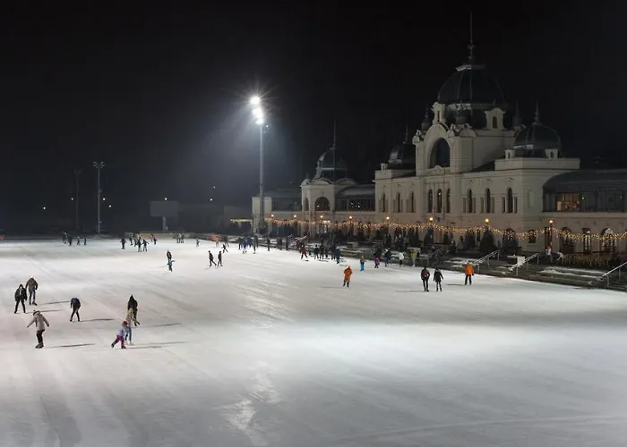 住宿加早餐酒店 Park&art Boutique 4*
